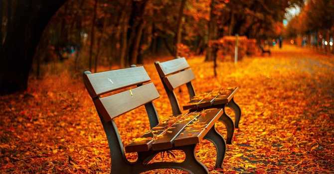 Mindfulness & Mental Health During Seasonal Changes: From Summer to Fall