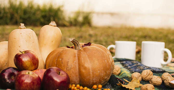 Nourish Your Body This Fall with Harvest Superfoods image