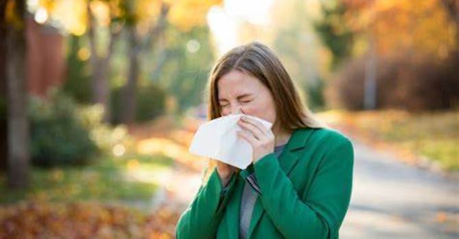 Conquering Fall Allergies: How Functional Medicine and Chinese Formulas Can Help image