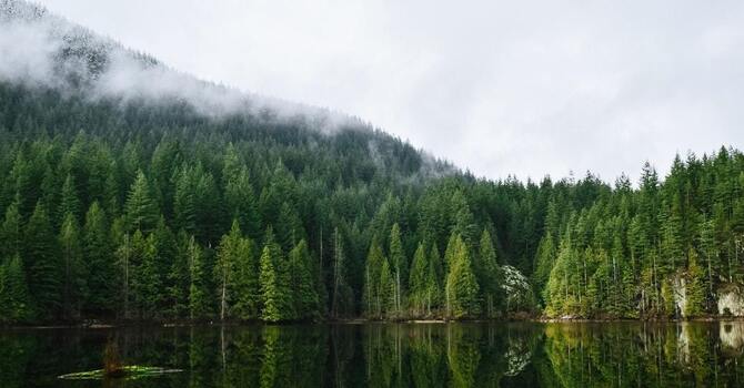 Six Fundamentals of Naturopathic Medicine image