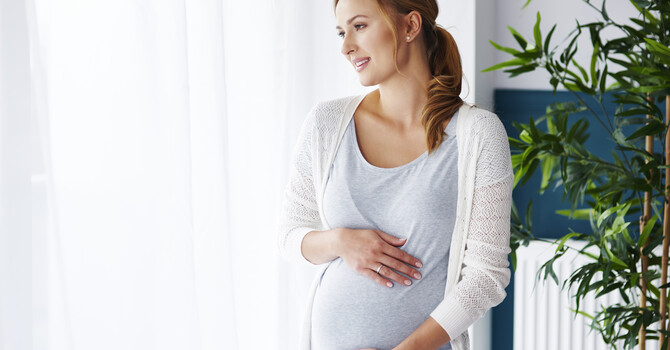 Functional Medicine and Acupuncture for Fertility image
