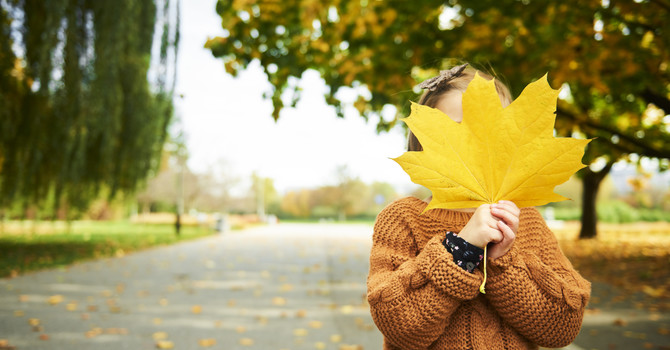  Welcoming the First Day of Fall: How Integrative Health and Acupuncture Can Support You